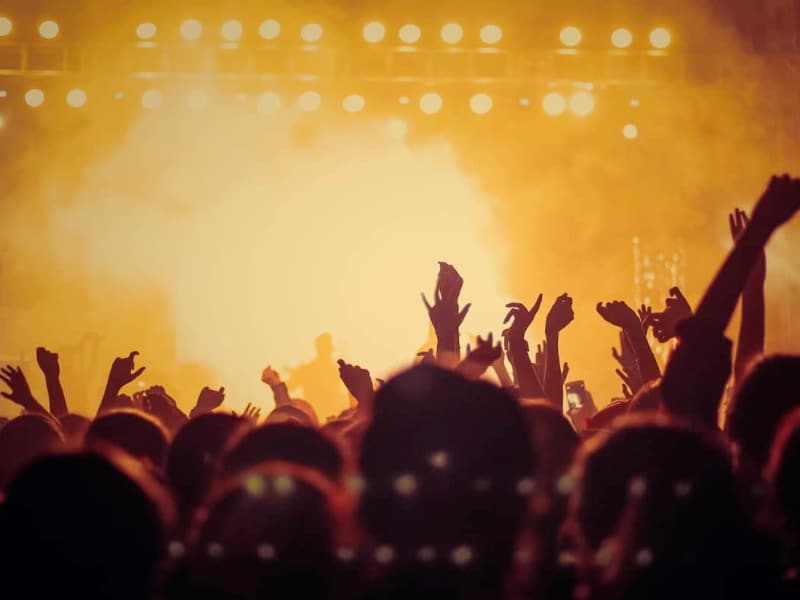 Rock concert crowd