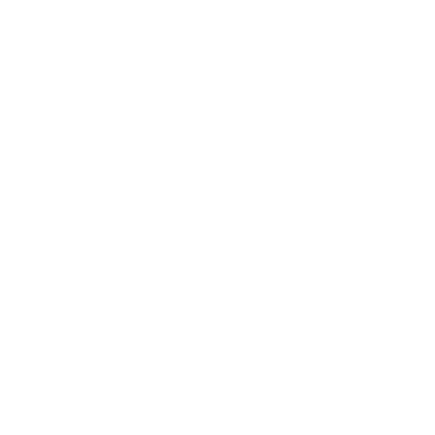 Bass Guitar