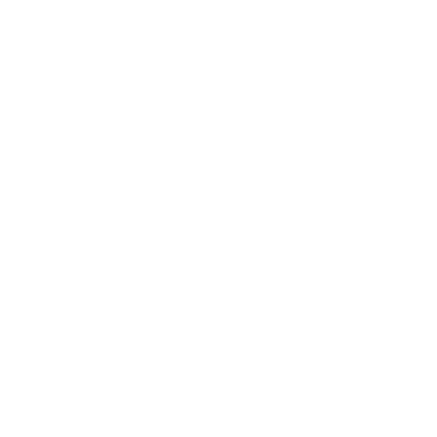 Electric Guitar